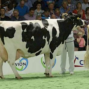 Mina 96 (Lucky Betsie Boy x Jabot) van Goof van Zandwijk uit Vuren.