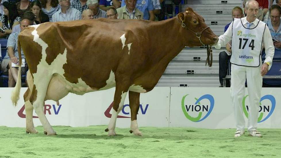 Schreur Raudi 30 (Stadel x Kinglea Leader) van Henk Reurslag uit Laren (Gld.).