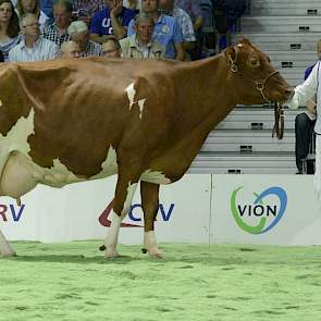 Schreur Raudi 30 (Stadel x Kinglea Leader) van Henk Reurslag uit Laren (Gld.).