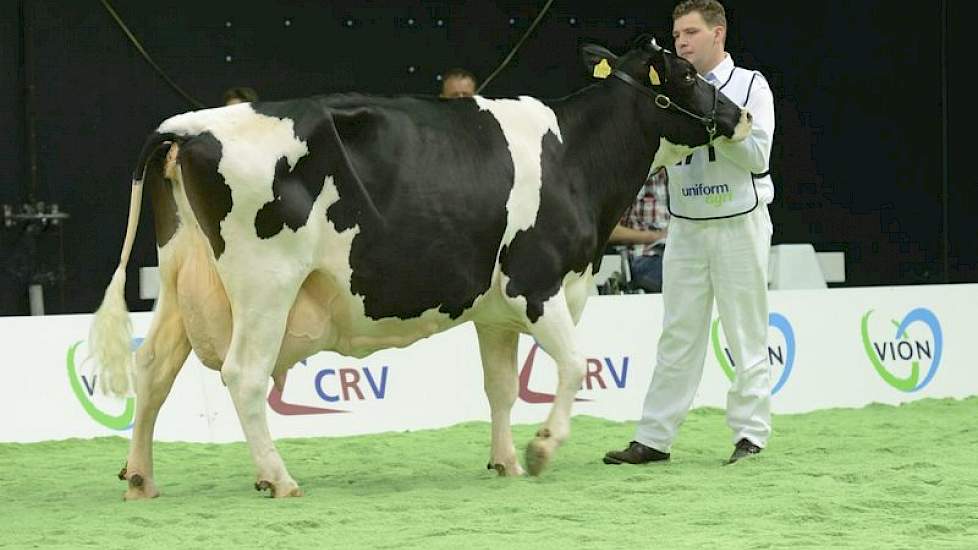 Honderdtonner Glinzer Jettie 57 (Bongo x Lord Lily) van Jan-Thomas en Betty Vos uit Godlinze was met haar 10,5 jaar de jongste van het stel. Opvallend was dat ook haar moeder in het gezelschap meeliep.