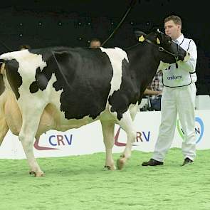 Honderdtonner Glinzer Jettie 57 (Bongo x Lord Lily) van Jan-Thomas en Betty Vos uit Godlinze was met haar 10,5 jaar de jongste van het stel. Opvallend was dat ook haar moeder in het gezelschap meeliep.