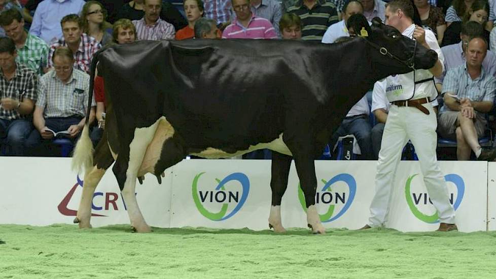 Een opvallende verschijning was met haar deels zwarte uier Glinzer Jettie 45 (Lord Lily x F16) van andermaal de familie Vos uit Godlinze. Ze produceerde al ruim 120.000 kg melk. Bijzonder is dat ze de moeder is van mede-honderdtonner Glinzer Jettie 57.