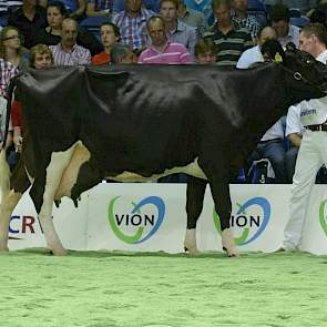 Een opvallende verschijning was met haar deels zwarte uier Glinzer Jettie 45 (Lord Lily x F16) van andermaal de familie Vos uit Godlinze. Ze produceerde al ruim 120.000 kg melk. Bijzonder is dat ze de moeder is van mede-honderdtonner Glinzer Jettie 57.