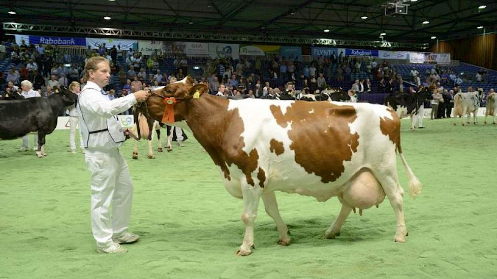 Kampkuiper verkoos Leentje 595 van Smit uit Markelo tot de op twee na beste honderdtonner.