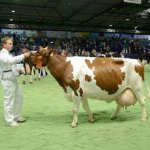 Kampkuiper verkoos Leentje 595 van Smit uit Markelo tot de op twee na beste honderdtonner.