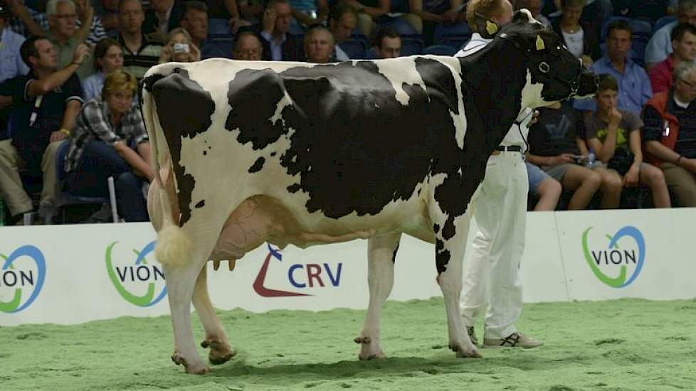 Shottle x Lord Lily.