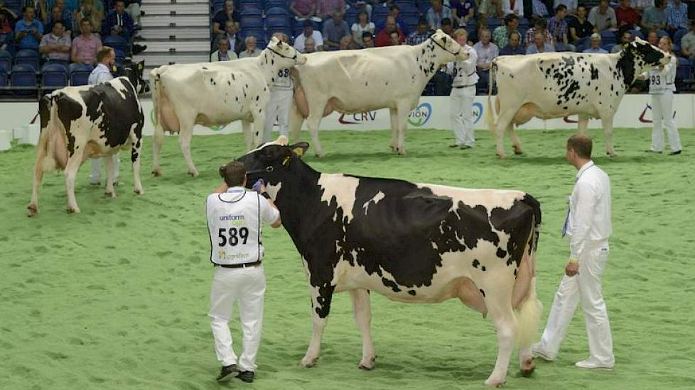 De fraaie groep van Picston Shottle (Mtoto x Aerostar), net als Jeeves en Sanchez overigens een forse eiwitverlager met -0,25%. Panelcijfer: 8,2.