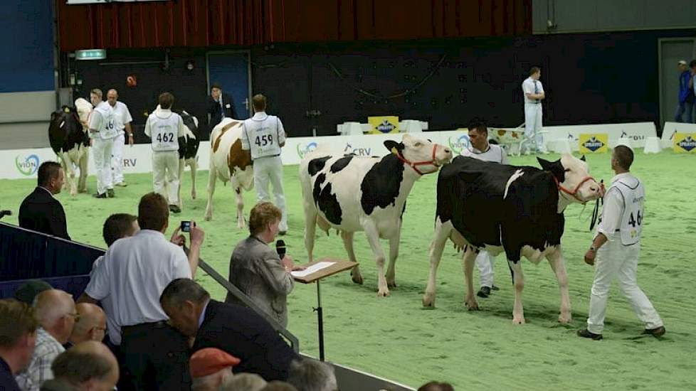 De tweede groep bestond uit nakomelingen van Montbéliarde-stier Redon (Isangrin x Bois Le Vin). Panelcijfer: 5,8.