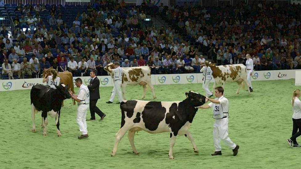 De kleurrijke groep van Zabing (Zunder x Rudolph). Panelcijfer: 7,5.