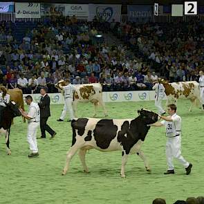 De kleurrijke groep van Zabing (Zunder x Rudolph). Panelcijfer: 7,5.