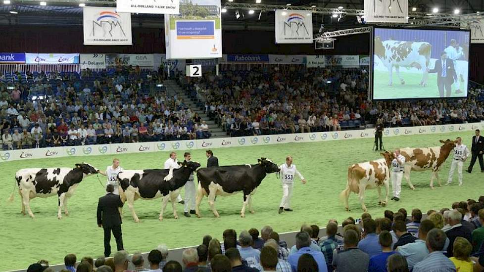 De groep van Mr Burns (Thunder x Storm) bestond uit rood- en zwartbonte dieren. Panelcijfer: 7,7.