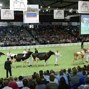 De groep van Mr Burns (Thunder x Storm) bestond uit rood- en zwartbonte dieren. Panelcijfer: 7,7.