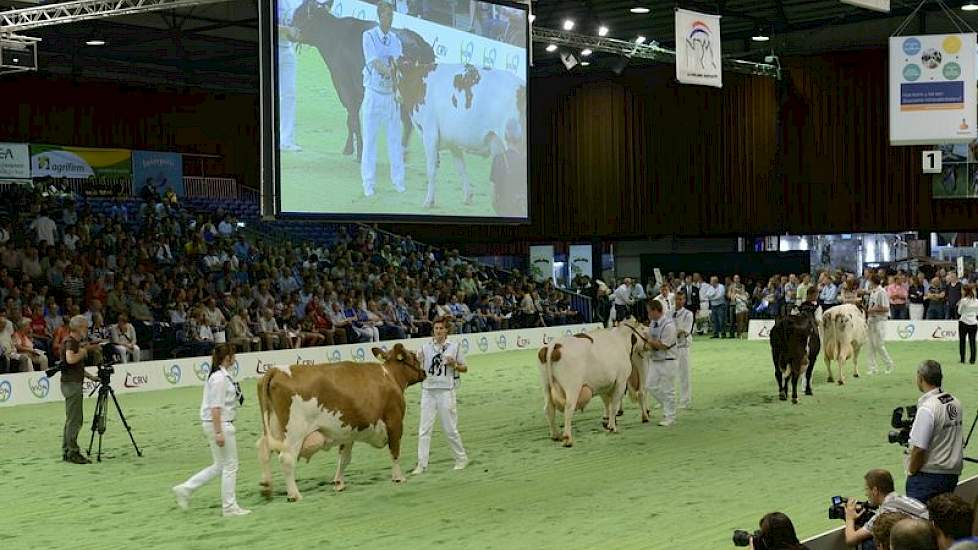 In de MRIJ-groep liepen zowel zuivere MRIJ's als MRIJ x Holstein-kruislingen.