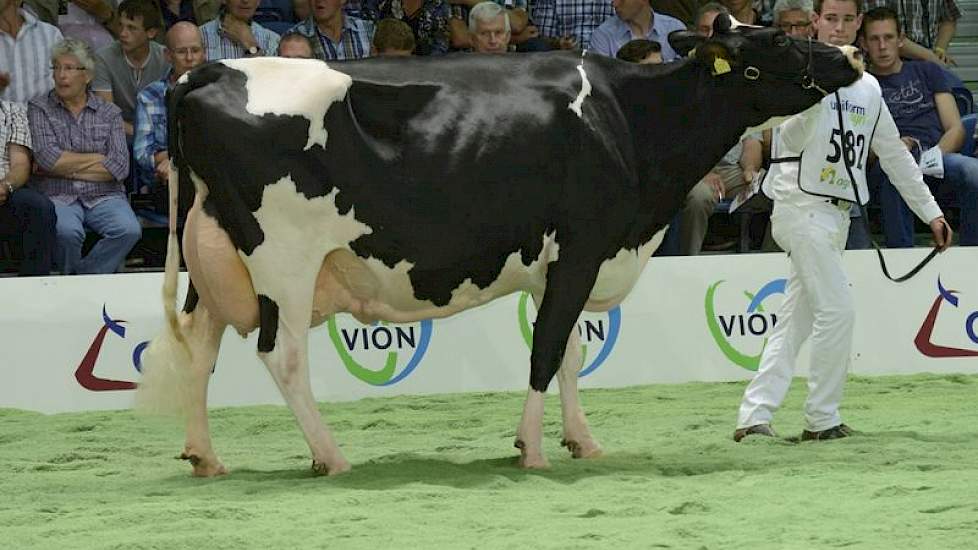 Goldwyn x Starleader.