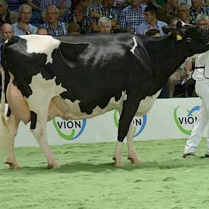 Goldwyn x Starleader.