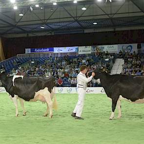 Links Hennie 302, rechts Hellen 585 (Goldwyn x Norik), beide van John de Vries. De beide koeien werden 1A en 1B van de rubriek met één na oudste koeien. Hennie 585 is tevens de moeder van de latere algemeen kampioene zwartbont Hellen 589.