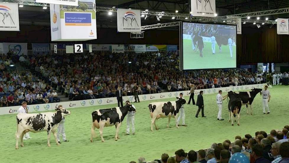 De hoog op de benen staande dochters van Gen-Mark Stmatic Sanchez (Stormatic x BW Marshall). Net als Jeeves vererft Sanchez zeer laag eiwit (-0,29%). Panelcijfer: 7,3.