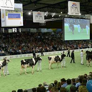 De hoog op de benen staande dochters van Gen-Mark Stmatic Sanchez (Stormatic x BW Marshall). Net als Jeeves vererft Sanchez zeer laag eiwit (-0,29%). Panelcijfer: 7,3.