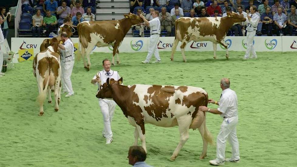 De dochtergroep van Huijben Red Tequila (Faber x Tulip). Panelcijfer: 7,1.