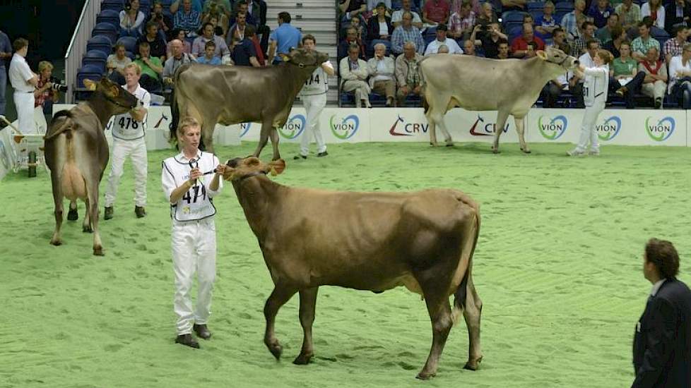 Het Brown Swiss-ras was vertegenwoordigd in de vorm van een dochtergroep van de stier Huray (Hussli x Siray). Panelcijfer: 6,7.