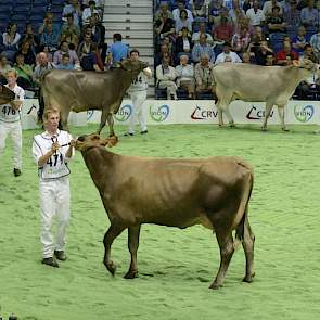 Het Brown Swiss-ras was vertegenwoordigd in de vorm van een dochtergroep van de stier Huray (Hussli x Siray). Panelcijfer: 6,7.