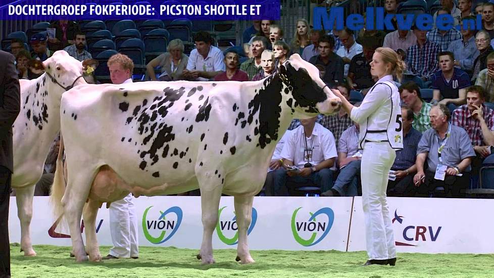 Picston Shottle ET - Dochtergroep Fokperiode NRM 2012