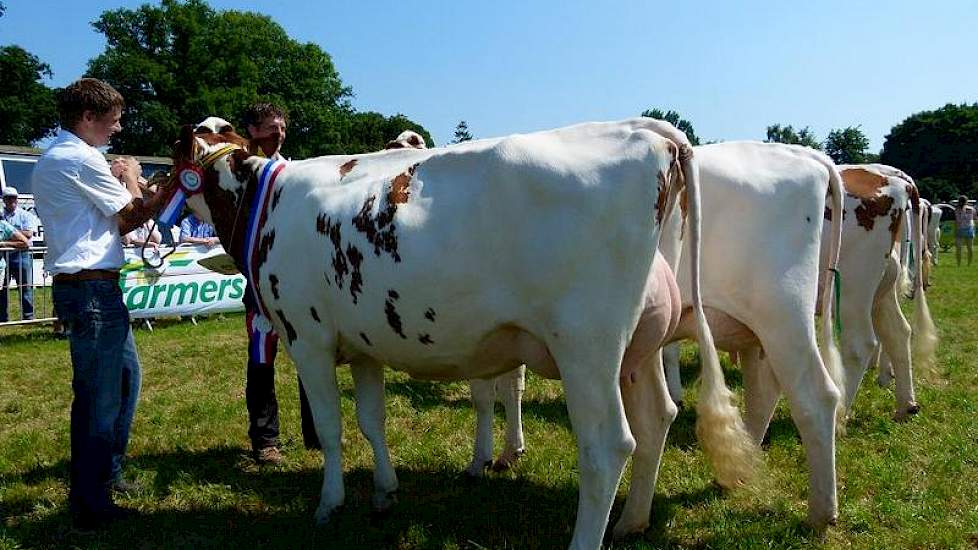 Vaarzenkampioene Elza 139 (V: Wansink Supreme)van de familie Pinkert.