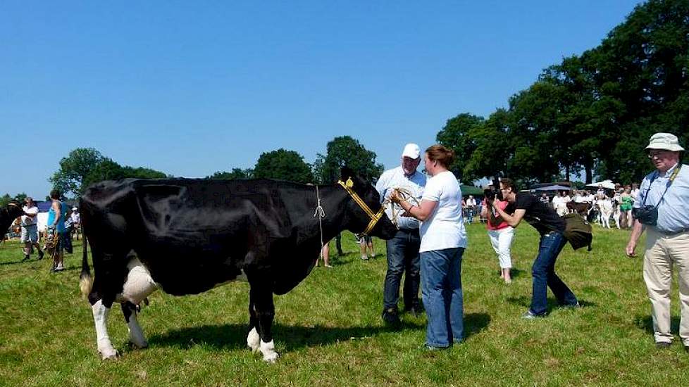 De oudste koe van de keuring. Wansink Koosje 171 (Lord Lily x Delta Lava) is van 20-1 2001.