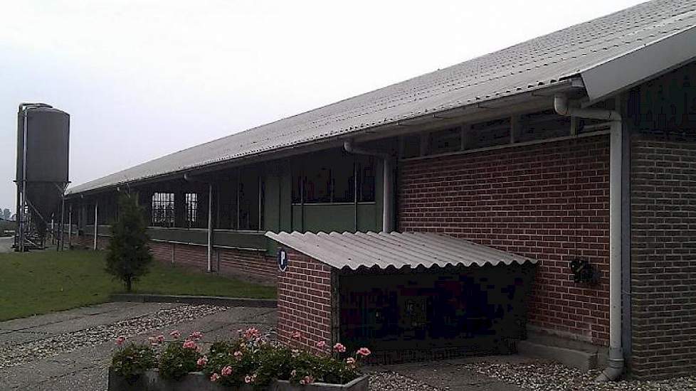 De ligboxenstal is gebouwd in 2007. Er ligt geen emissie arme vloer in maar een standaard roostervloer (foto Erik Colenbrander)