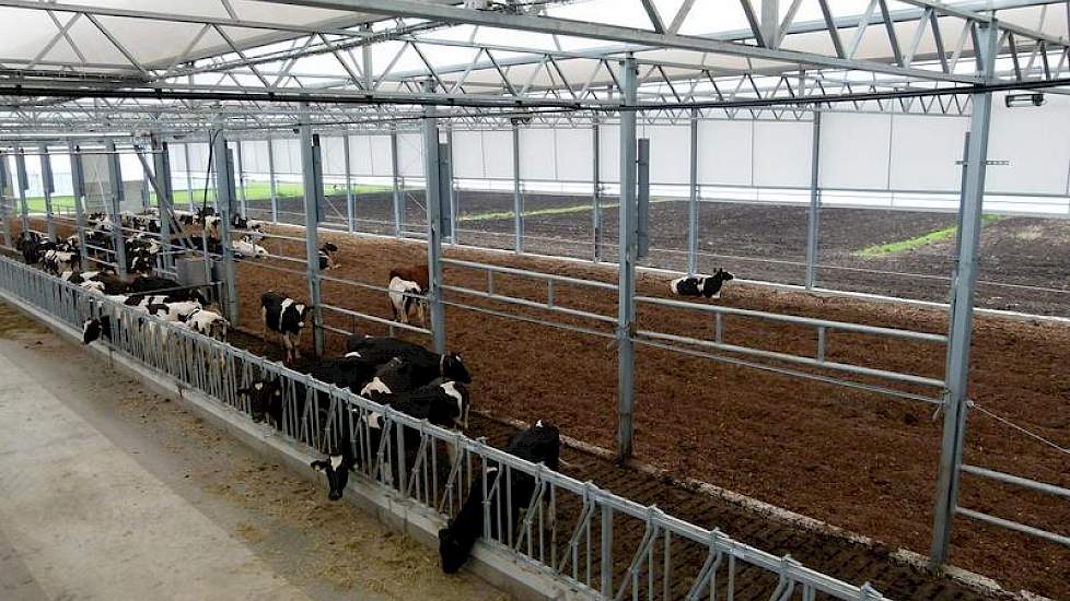 En het rechtergedeelte, gezien vanaf het tanklokaal. Op dit moment is de helft van de stal in gebruik. De totale oppervlakte van de bedding is 1685 vierkante meter.