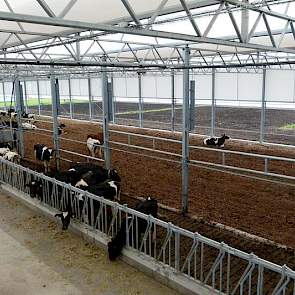 En het rechtergedeelte, gezien vanaf het tanklokaal. Op dit moment is de helft van de stal in gebruik. De totale oppervlakte van de bedding is 1685 vierkante meter.