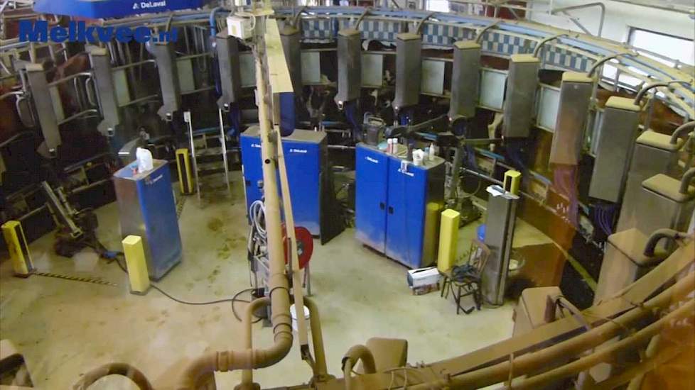 DeLaval AMR at work / Automatic Milking Rotary in werking op testbedrijf