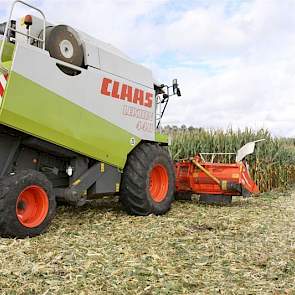 Loonbedrijf Mateman uit Eibergen heeft een geschikte maaidorser.