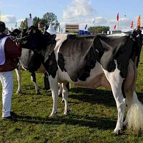 Reservekampioene van de middenklasse Ella 169 (v. Stormatic) is een dochter van de latere algemeen kampioene Ella 139 (v. Boss Iron).