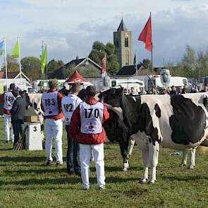 De line-up bij de zwartbonte senioren.