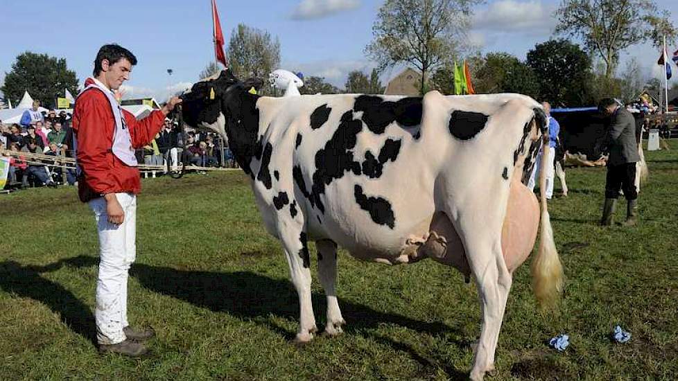 Toch ging het kampioenschap naar Bons-Holsteins Ella 139 (v. Boss Iron).