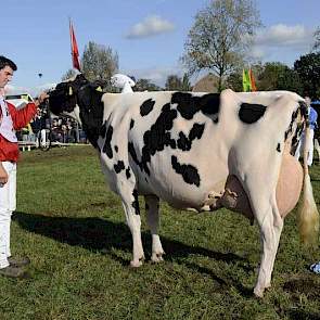 Toch ging het kampioenschap naar Bons-Holsteins Ella 139 (v. Boss Iron).