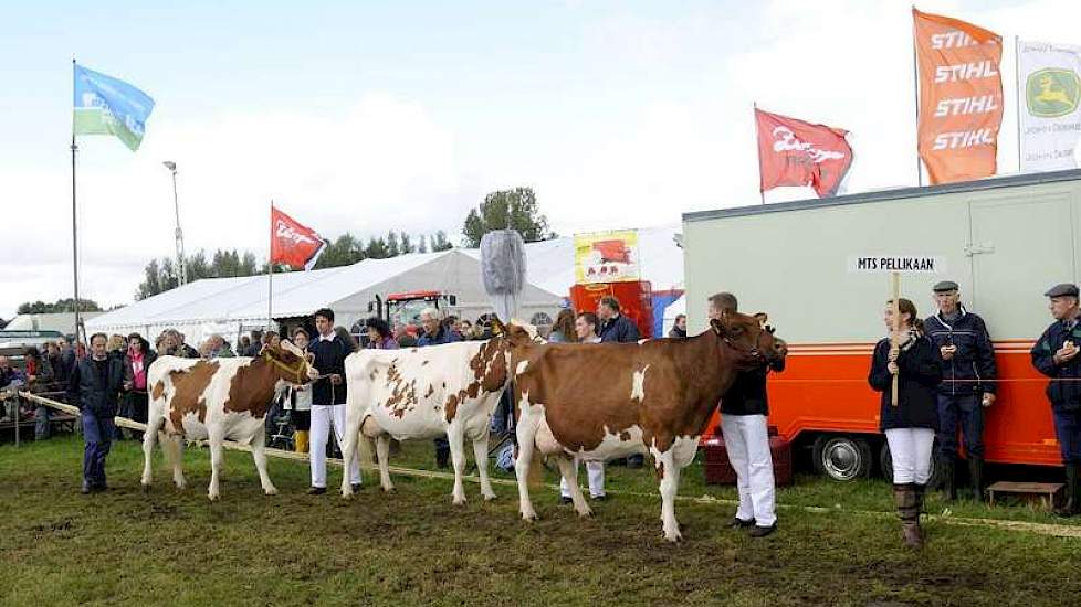 De collectie van de VOF Pellikaan uit Meerkerk werd tot beste roodbonte collectie uitgeroepen.