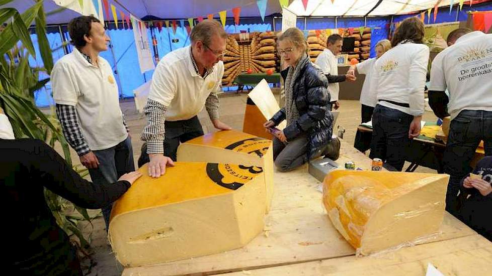 Het maken van de grootste boerenkaas ooit behoorde ook tot de bijzonderheden van de jubileumeditie van de fokveedag.