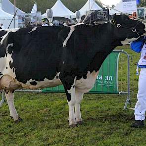 Teus van Dijk met de overbekende voormalige NRM-kampioene Wilhelmina 358 (v. Juror). De op 27 april 2001 geboren koe produceerde in haar leven al 130.000 kg melk.