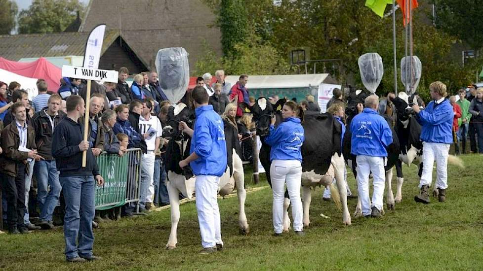 In de finale liepen vijf collecties, één van Vink, twee van Teus van Dijk en twee van Nico Bons. Op de foto de collectie jonge koeien van Teus van Dijk.