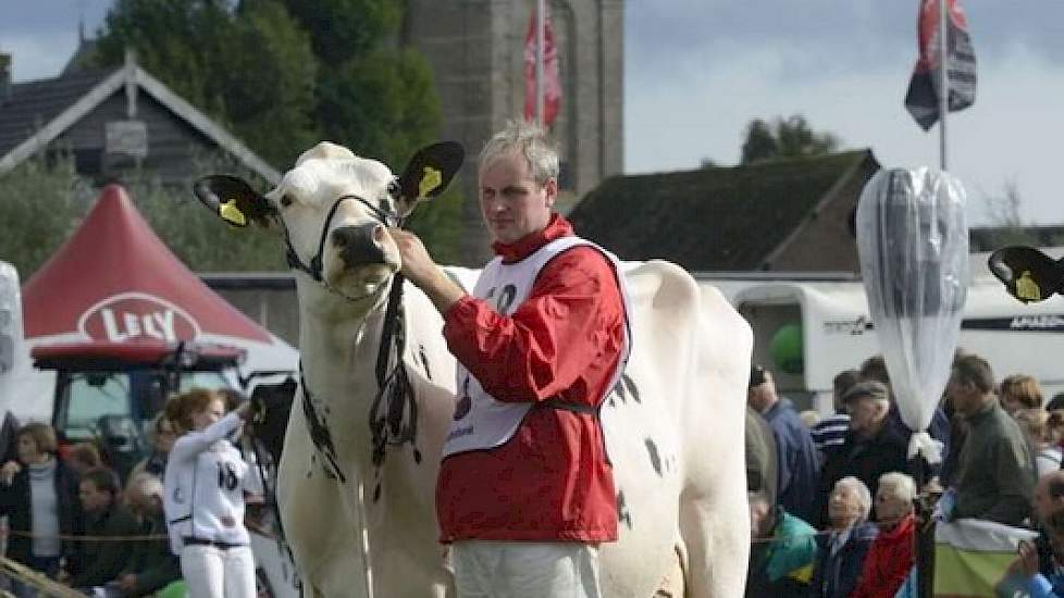 De bekende Blitz-dochter Bons-Holsteins Dikkie 161 eindigde als derde in de middenklasse.