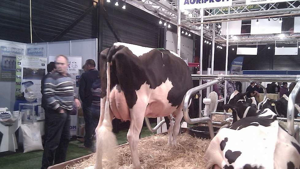 Jantje 196 (MV: Janos) is eigendom van vof De Groot -Nieuwenhuijzen uit Woudenberg.