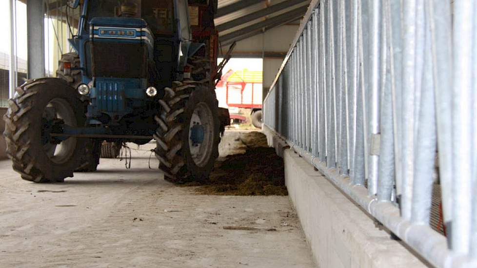 Buiten bouwen de mannen met al het voorradige materieel een niet te missen route voor het vee. Opgebracht zand dient als plaveisel en dan eindelijk is het zoveelste spannende moment daar; de koeien maken de oversteek naar de nieuwe stal met gedroogde mest