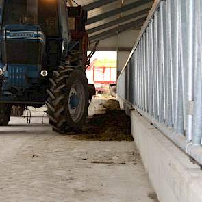 Buiten bouwen de mannen met al het voorradige materieel een niet te missen route voor het vee. Opgebracht zand dient als plaveisel en dan eindelijk is het zoveelste spannende moment daar; de koeien maken de oversteek naar de nieuwe stal met gedroogde mest