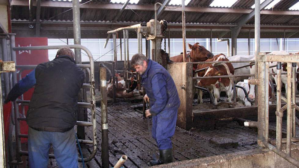 De silo’s worden verplaatst, de melkrobots worden losgewrikt en schoongemaakt. Even later hangen ze boven het nieuwe voerhek. Ondanks de korte looplijnen in de nieuwe stal, worden vandaag heel wat kilometers afgelegd.