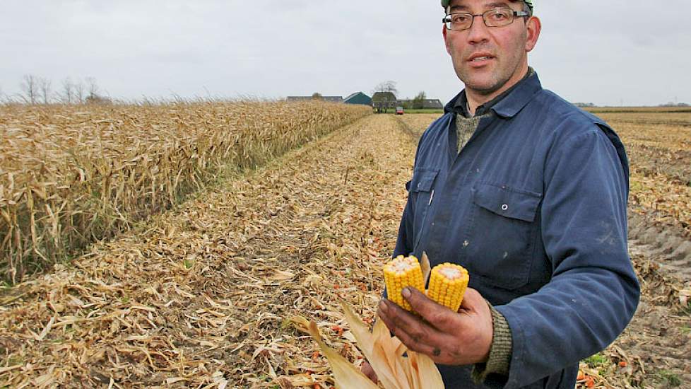 André Vermue haalde tot 18 ton korrelmaïs per hectare.