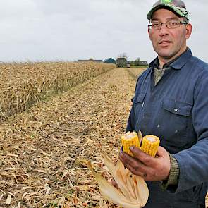 André Vermue haalde tot 18 ton korrelmaïs per hectare.