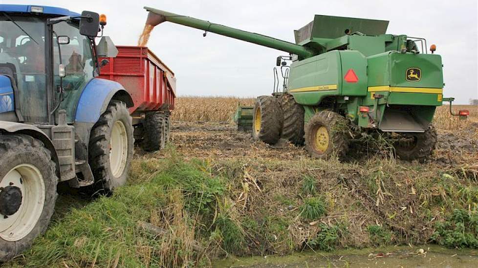 Vermue transporteert de maïs met een kipper naar zijn erf om vanaf daar naar de Brabantse koper te worden getransporteerd.