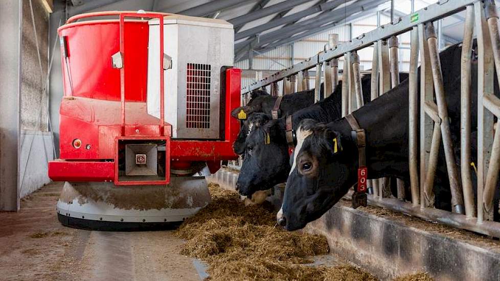 De Vector voerrobot  kan naar verwachting alle 275 melkkoeien inclusief het jongvee in een andere stal aan, qua capaciteit.  Want er wordt 24 uur per dag gevoerd. Het rantsoen bestaat uit gras, maïs, voeraardappelen, een soja/raapmengsel en mineralen.